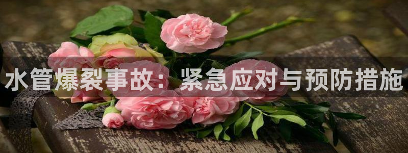 威九国际8ⅹ8x