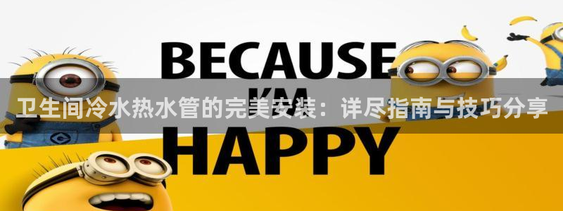 保定威九网络科技有限公司怎么样