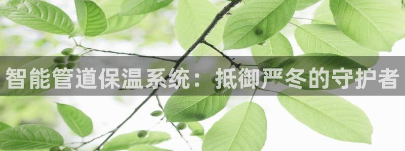 威九国际体育