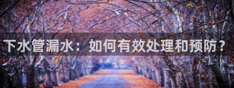 威九国际网站入口官网首页