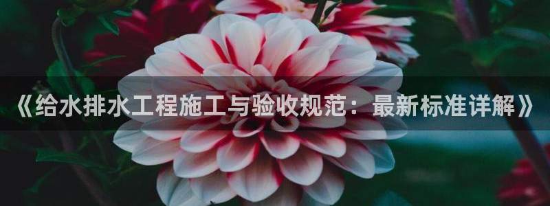 威九国际网站进入客服中心怎么退出