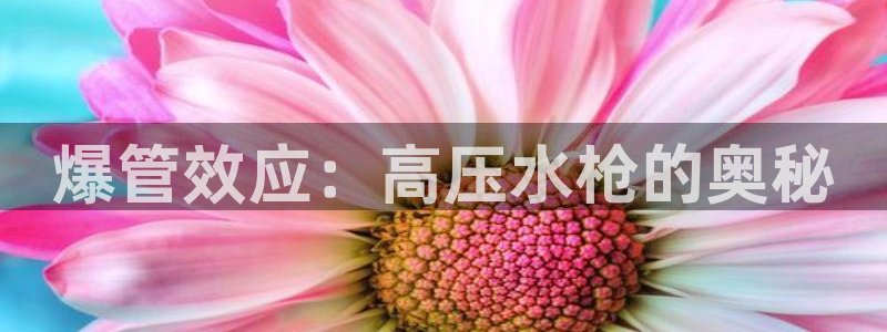 威九国际免费网络站