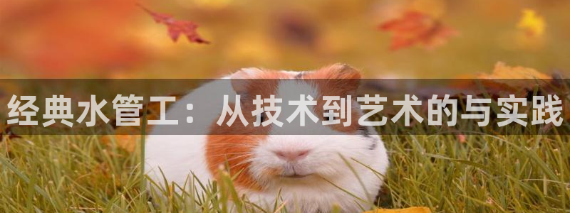 威九国际v96242cc官网版