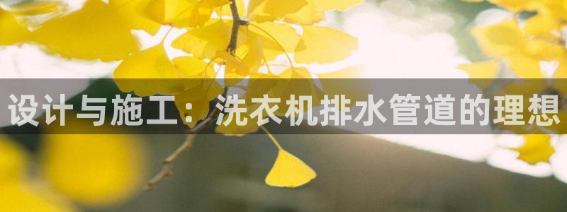 威九国际网站进入(中国)有限公司-官网