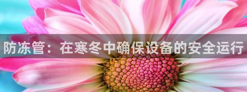 威九国际网站入口地址查询