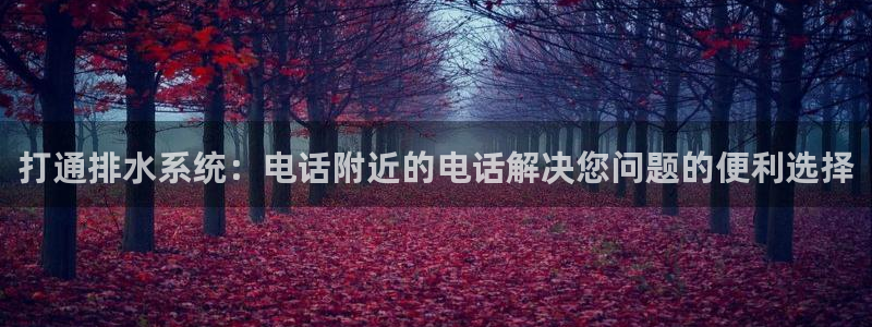 威九国际取款