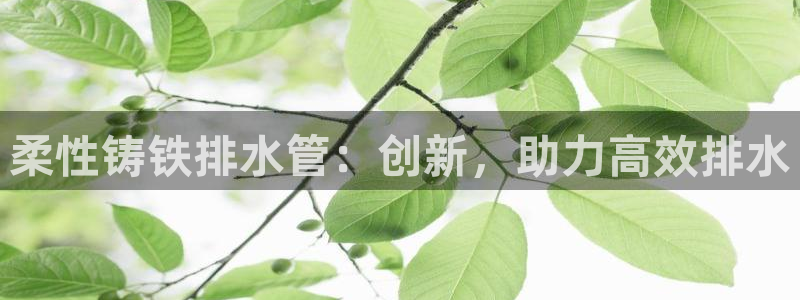 威九国际66m免费版