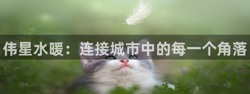 威九国际网站客服电话多少号码