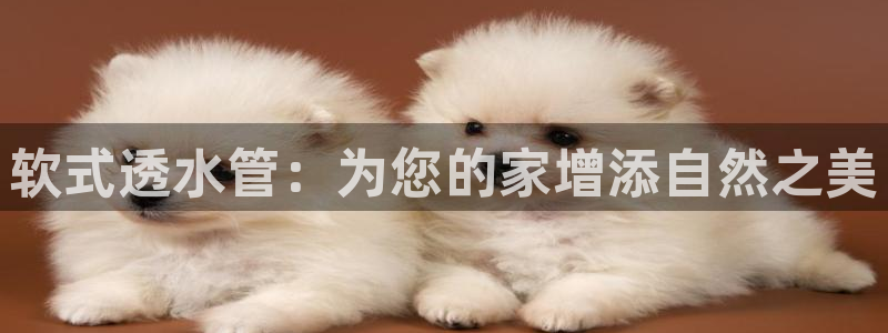 78mapp威九国际媒体央视