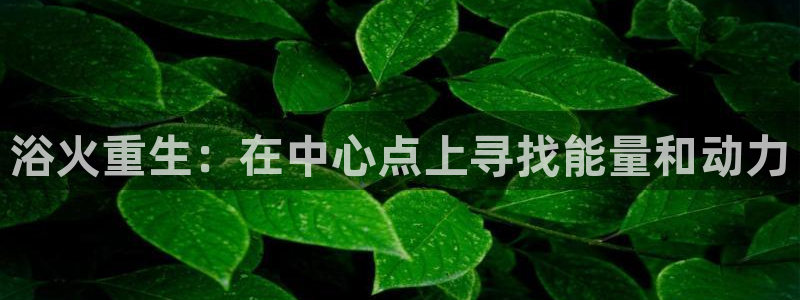 威九国际网站进入公司不断创新