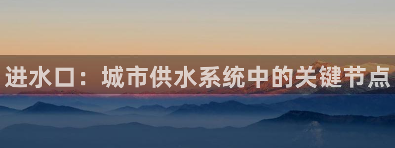 威九国际78