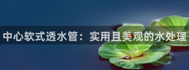 威九国际app客服电话多少