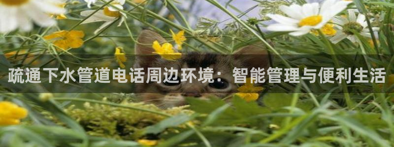 威九国际网站怎么样