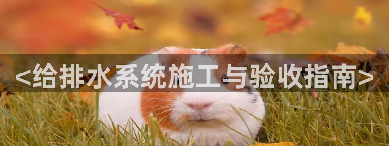 威九国际78mb官网版