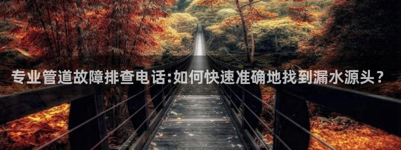 威九国际AN