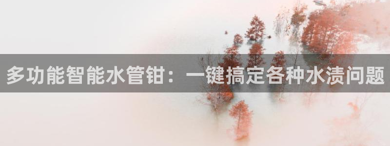 威九国际精忐