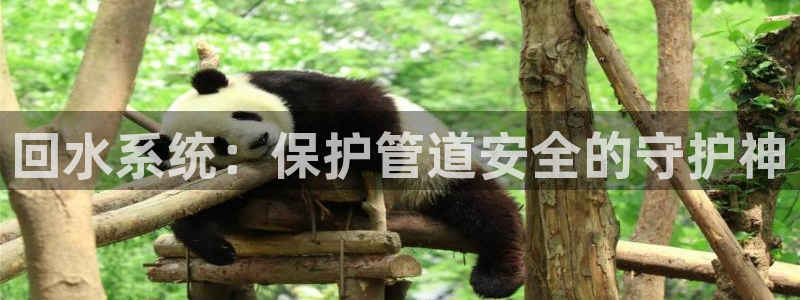威九国际可以提现吗