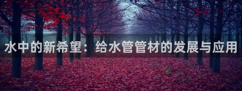 威九国际的女主