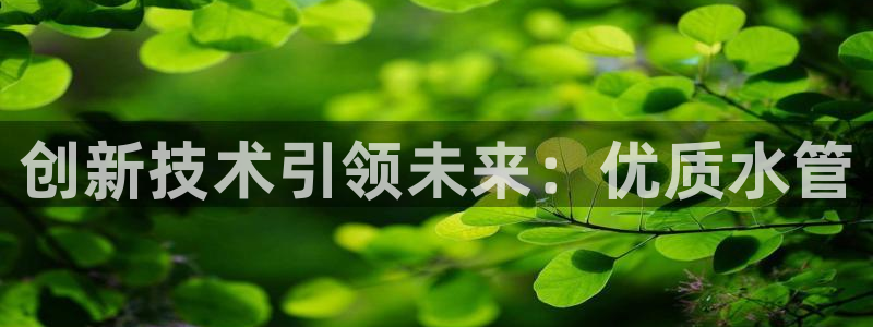 威九国际78mb特点