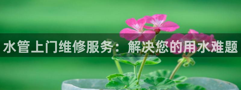 威九国际精忐