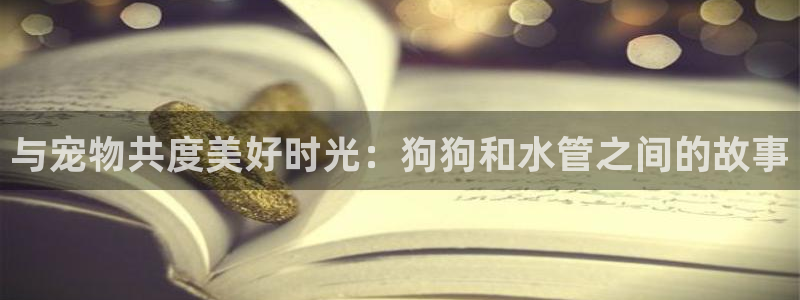 威九国际第一页