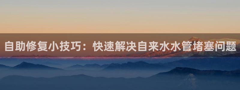 威九国际