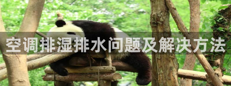 威九国际网站进入AB,AB