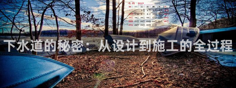 威九国际网站入口官网首页