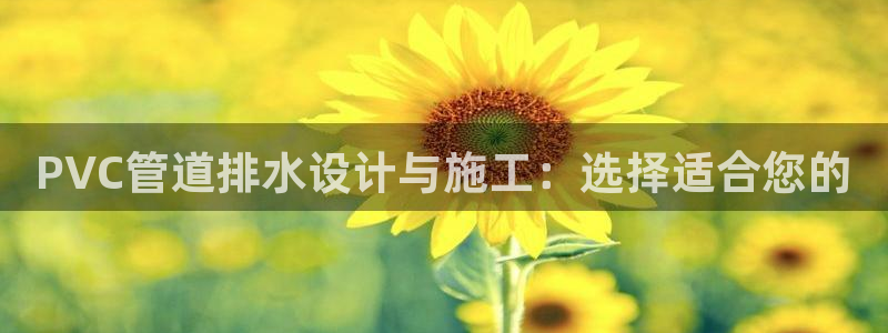 保定威九网络科技有限公司