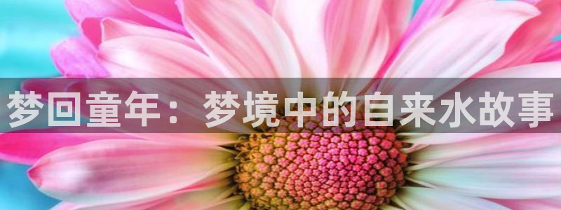 威九国际78mB