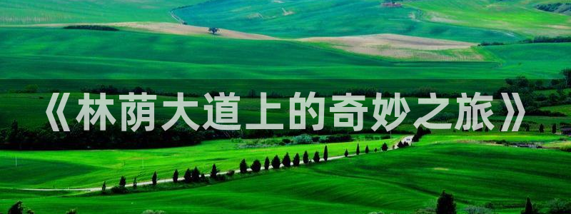 威九国际热舞