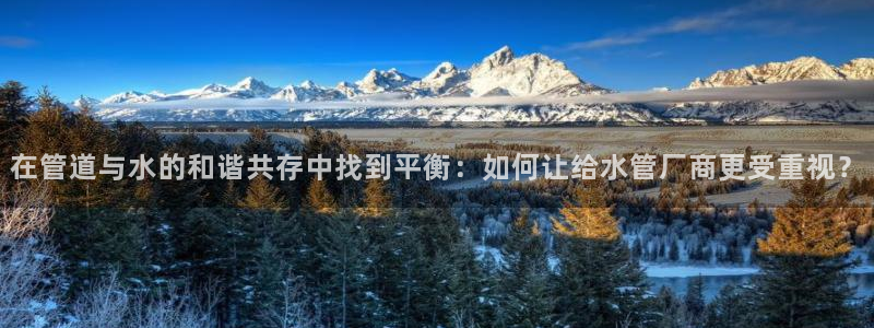 威九国际网站入口rdquo