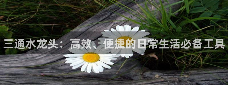 威九国际旗下艺人都有谁