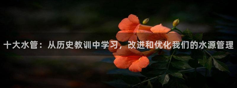 威九国际66m免费下载