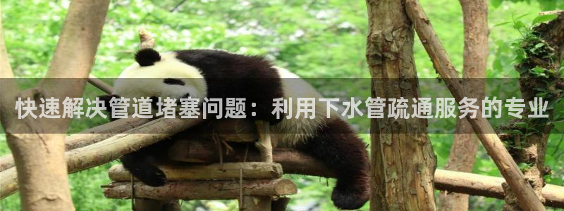 威九国际网站进入AB,AB