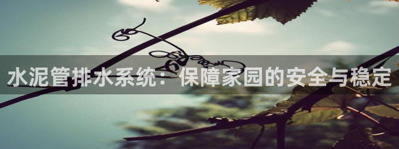 威九国际网页看视频弹窗的广告拦截插件