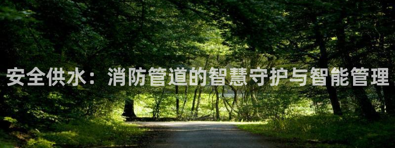 威九国际mv