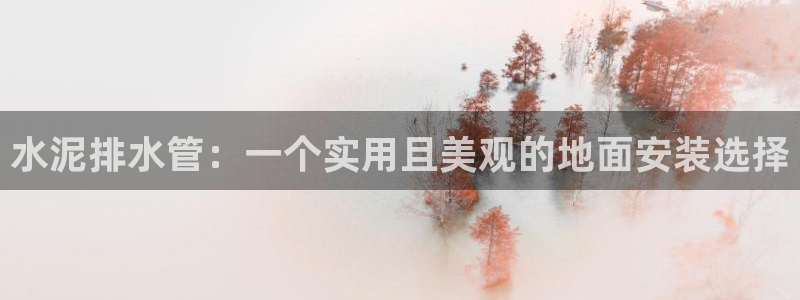 威九国际的女主
