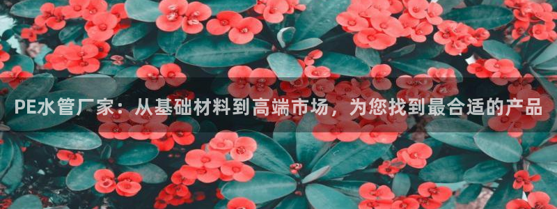 威九国际网站入口地址在哪里