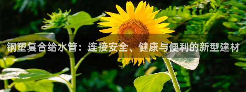 威九国际哪国的