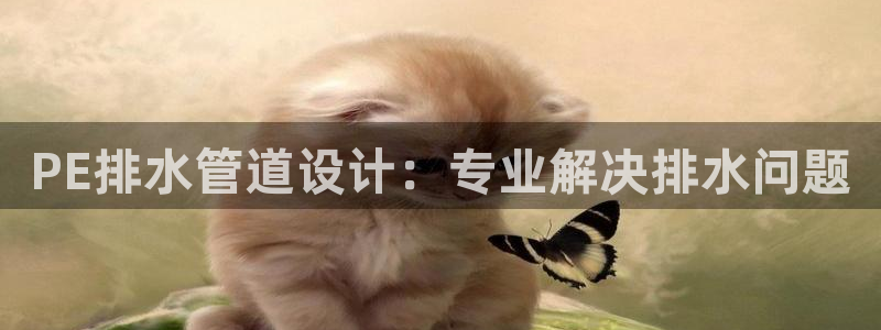 威九国际空降服务女演员叫什么名字