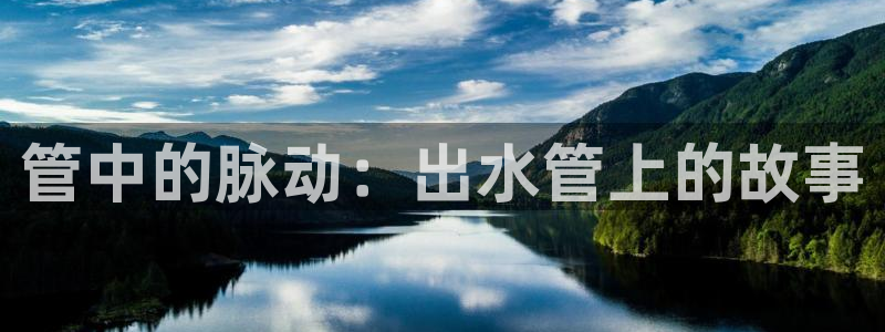 威九国际网站客服电话多少号