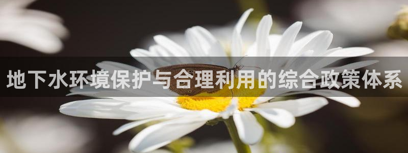 威九国际电视怎么样