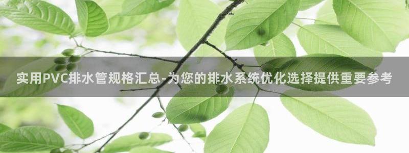 威九国际可以提现吗是真的吗