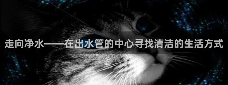 威九国际78mb下载