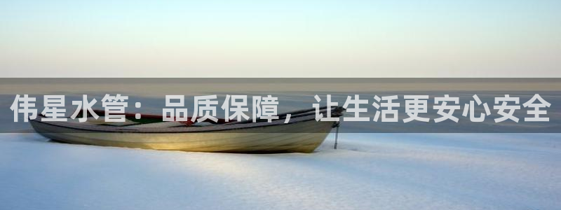 威九国际官网版