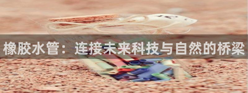 威九国际官方下载