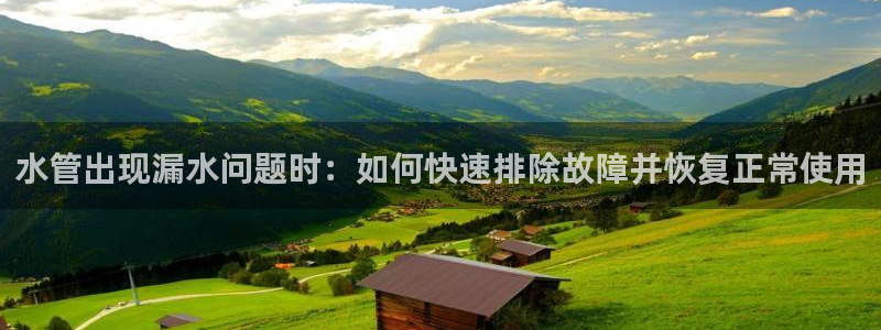 威九国际女演员名单介绍