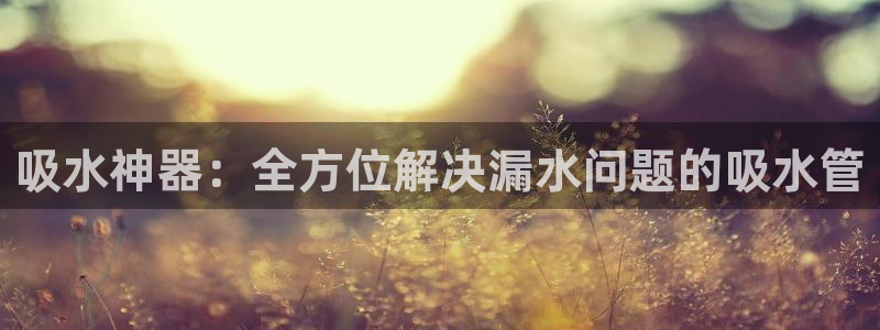 威九国际ppt免费下载