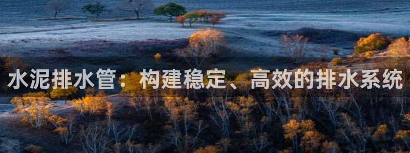 威九国际网站安全吗